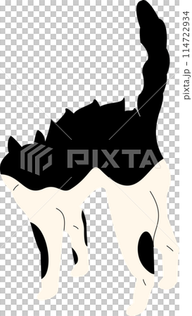 illustration, animal, vector, collection, cat, cute, drawing, cartoon, kitty, design, pet, art, character, set, funny, pose, happy, adorable, isolated, background, smile, meow, icon, doodle, kitten 114722934