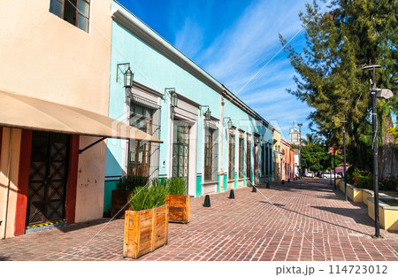 Typical architecture of the old town of Aguascalientes in Mexico 114723012