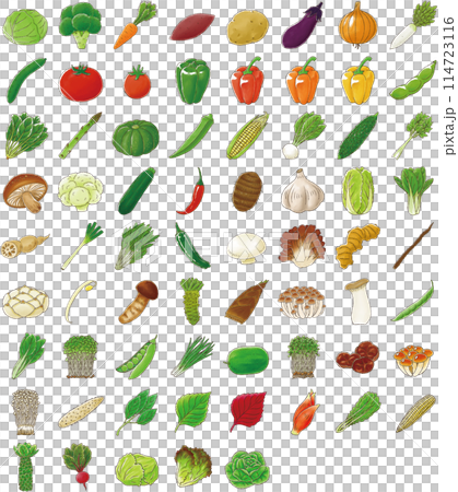 蔬菜套裝（水彩風格） 114723116