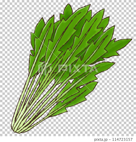 Mizuna (watercolor style) Mizuna (watercolor style) 114723157