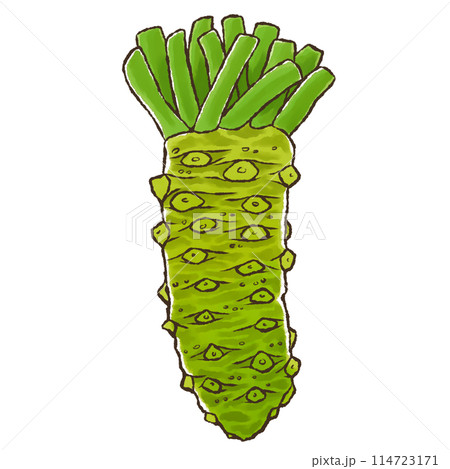 ワサビ（水彩風） 114723171