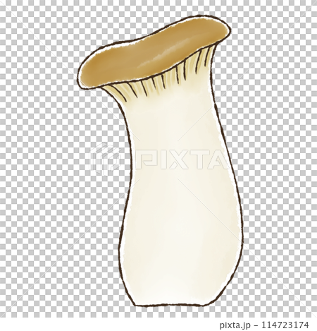 Eringi（水彩風格） 114723174