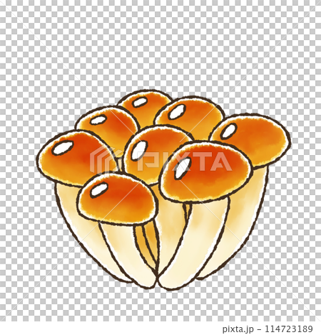 Nameko (watercolor style) 114723189