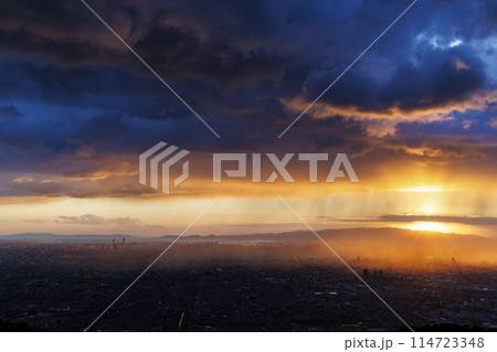 なるかわ園地_大阪府民の森からの夕景 114723348