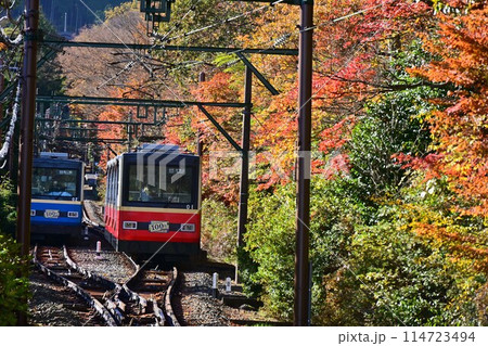 紅葉の中を走る箱根ケーブルカー 114723494