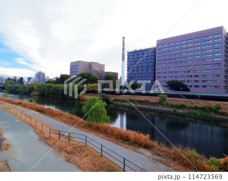 熊本県熊本市の街並み 熊本県熊本市の街並み 114723569