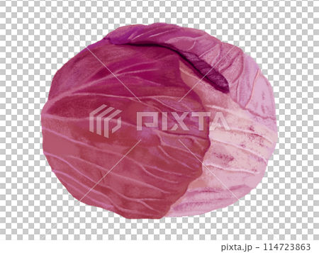 紫キャベツ（1個） 114723863