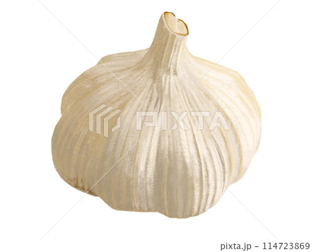 にんにく（一房） 114723869