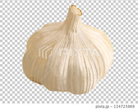 にんにく（一房） 114723869