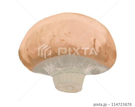 マッシュルーム（ブラウン）1個 114723878