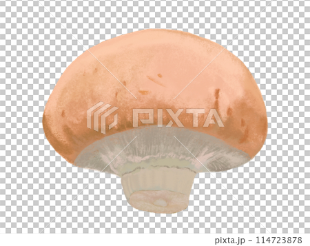 1 brown mushroom 114723878