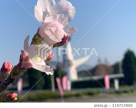 春の訪れ　万博を背に 114723908