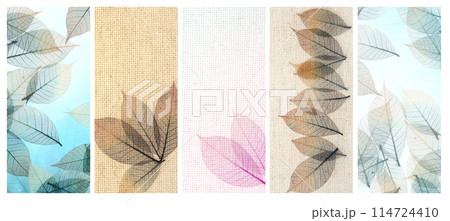 Set of horizontal or vertical nature background with transparent skeleton leaves. Collection of natural eco backdrop. Mock up template. Copy space for text 114724410