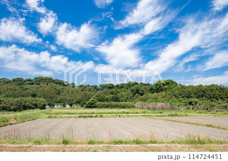 青空と田舎の風景 114724451