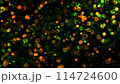 Bokeh lights green orange on black background. Abstract Lights. Unfocused Light background. Blurred night light. bokeh background, Blur concept colorful effect 114724600