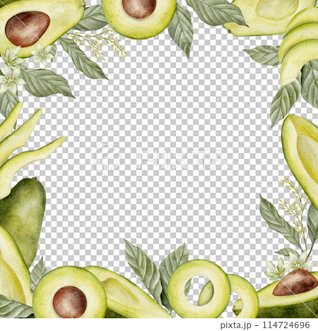 Square frame. Watercolor avocado leaves and flowers illustration. Hand drawn botanical drawing. Tea leaf. Green plant vegetables on isolated background for food, cosmetic packaging design, card 114724696