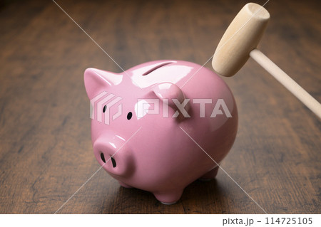 ブタの貯金箱とハンマー 114725105