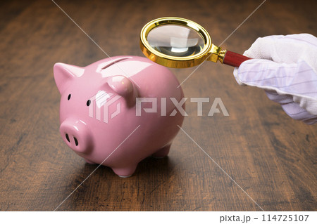 ブタの貯金箱と虫眼鏡 114725107