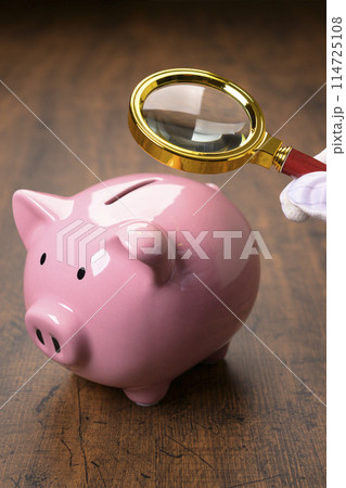 ブタの貯金箱と虫眼鏡 114725108