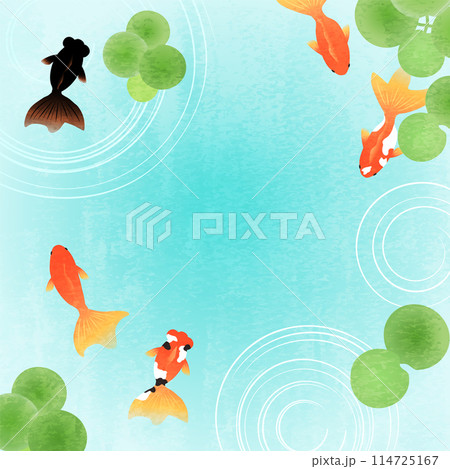 金魚の背景素材_13 114725167