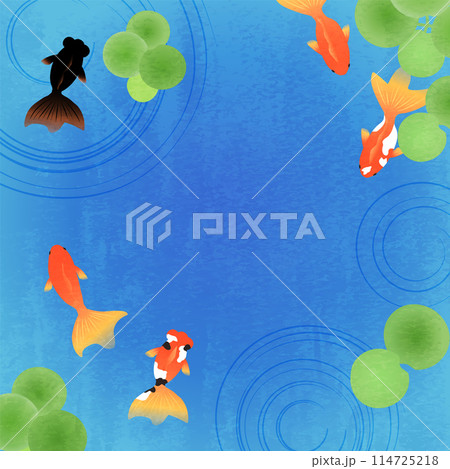金魚の背景素材_10 金魚の背景素材_10 114725218