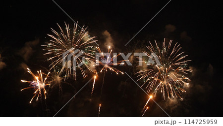 Golden Firework celebrate anniversary independence day night time celebrate national holiday. Countdown to new year 2024 party time event. Happy new year 2024, 4th of july holiday festival concept 114725959