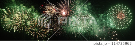 Green Firework celebrate anniversary happy new year 2024, 4th of july holiday festival. Green firework in night time celebrate national holiday. Countdown to new year 2024 festival party time event 114725963