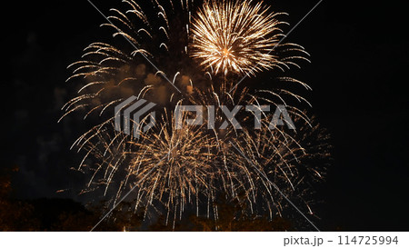 Golden Firework celebrate anniversary independence day night time celebrate national holiday. Countdown to new year 2023 party time event. Happy new year 2023, 4th of july holiday festival concept 114725994