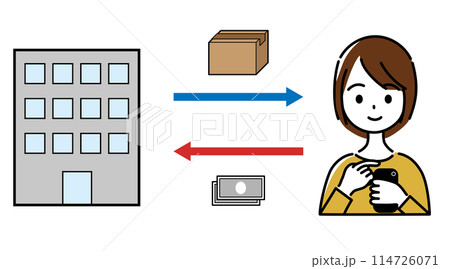 スマホでネットショッピングをする女性 114726071