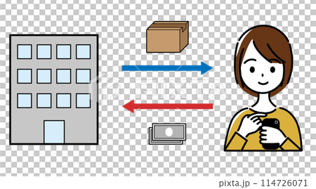 スマホでネットショッピングをする女性 114726071