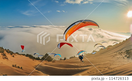 砂丘でパラグライダーを楽しむイメージ 114726313