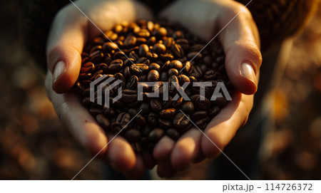 Roasting coffee, coffee beans. 114726372