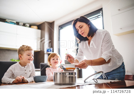Grandma takes care of the grandchildren while their parents are at work, serving lunch to kids, putting soup in plate. Grandma takes care of the grandchildren while their parents are at work, serving lunch to kids, putting soup in plate. 114726728
