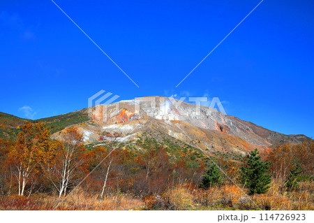 紅葉する浄土平湿原と一切経山／福島県福島市磐梯吾妻スカイライン 114726923