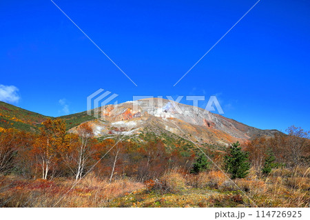 紅葉する浄土平と一切経山/福島県福島市磐梯吾妻スカイライン 紅葉する浄土平と一切経山/福島県福島市磐梯吾妻スカイライン 114726925