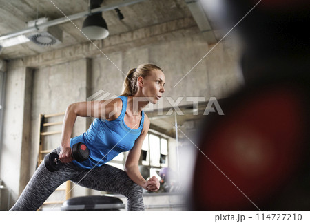 Woman exercising with dumbbells in gym. Strength exercise. Routine workout for physical and mental health. Woman exercising with dumbbells in gym. Strength exercise. Routine workout for physical and mental health. 114727210
