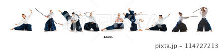 Man and woman, concentrated athletes fighting at Aikido training in martial arts school isolated white background Man and woman, concentrated athletes fighting at Aikido training in martial arts school isolated white background 114727213