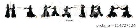 Collage. Two men, professional kendo athletes in motion, in uniform training with bamboo sword, shinai against white background. 114727224