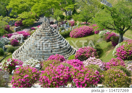 名古山霊園とツツジ 名古山霊園とツツジ 114727269