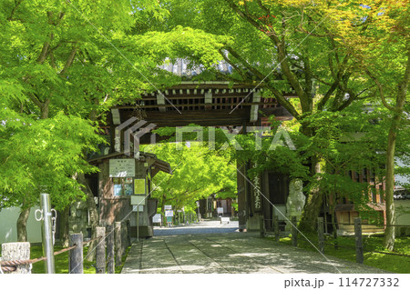 新緑の京都 永観堂(禅林寺) 中門 新緑の京都 永観堂(禅林寺) 中門 114727332