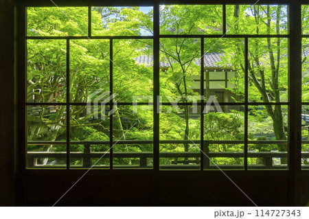 新緑の京都　永観堂（禅林寺）　古方丈から見える庭園 114727343