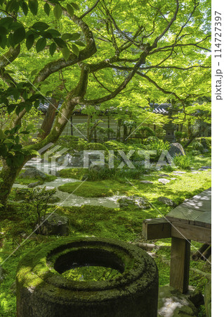 京都　永観堂（禅林寺）　釈迦堂南庭と手水鉢 114727397