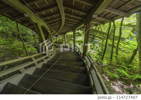 新緑の京都 永観堂(禅林寺) 臥龍廊 新緑の京都 永観堂(禅林寺) 臥龍廊 114727407
