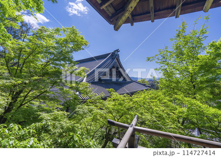 新緑の京都 永観堂(禅林寺) 臥龍廊から見える御影堂 新緑の京都 永観堂(禅林寺) 臥龍廊から見える御影堂 114727414