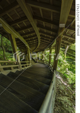 新緑の京都 永観堂(禅林寺) 臥龍廊 新緑の京都 永観堂(禅林寺) 臥龍廊 114727421