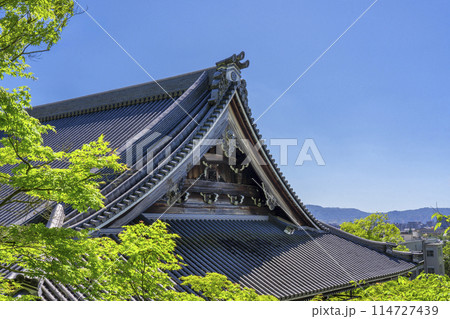 新緑の京都 永観堂(禅林寺) 臥龍廊から見える御影堂 新緑の京都 永観堂(禅林寺) 臥龍廊から見える御影堂 114727439