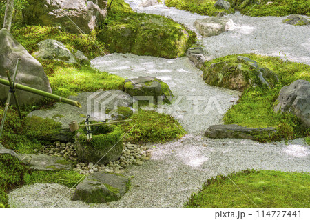 京都 永観堂(禅林寺) 釈迦堂南庭 京都 永観堂(禅林寺) 釈迦堂南庭 114727441