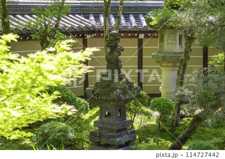 京都　永観堂（禅林寺）　釈迦堂南庭 114727442