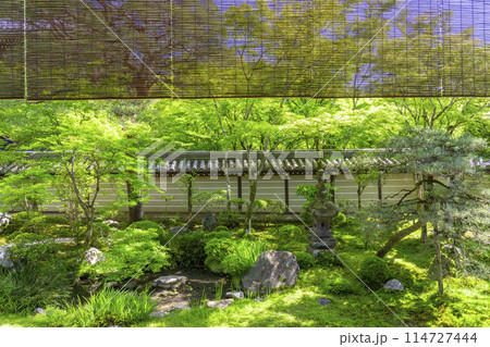 京都　永観堂（禅林寺）　釈迦堂南庭 114727444