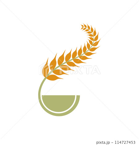 Agriculture wheat Logo Agriculture wheat Logo 114727453